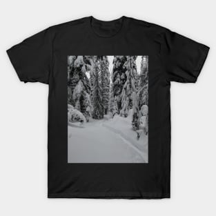 Quiet Snow Shoeing Trail T-Shirt